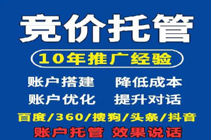 揭秘成功的关键词竞价排名背后的策略与执行